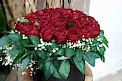 elazig_cicekci_kutulu_gul-18