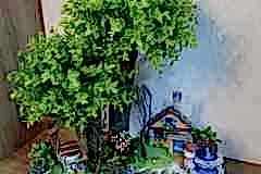 elazig_cicekci_ozel_tasarim_teraryum-4