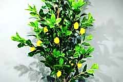 elazig_cicekci_yapay_agac-3